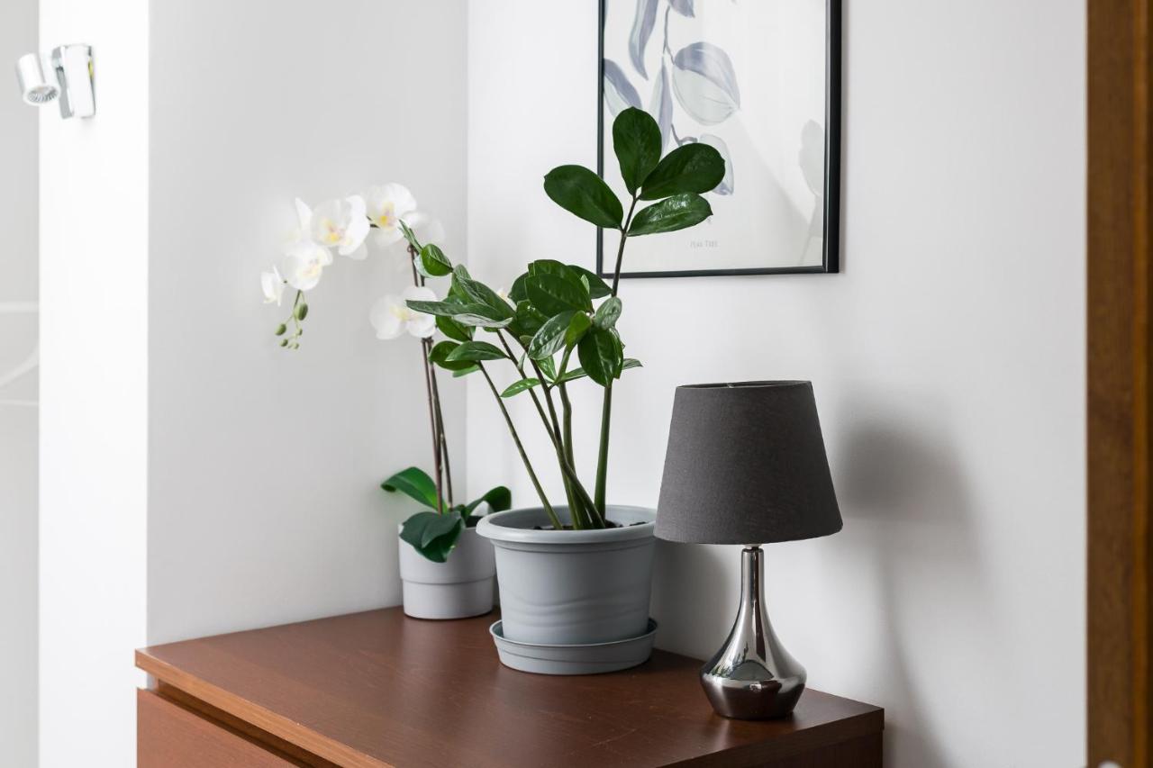Apartament "Holy" Poznań Esterno foto